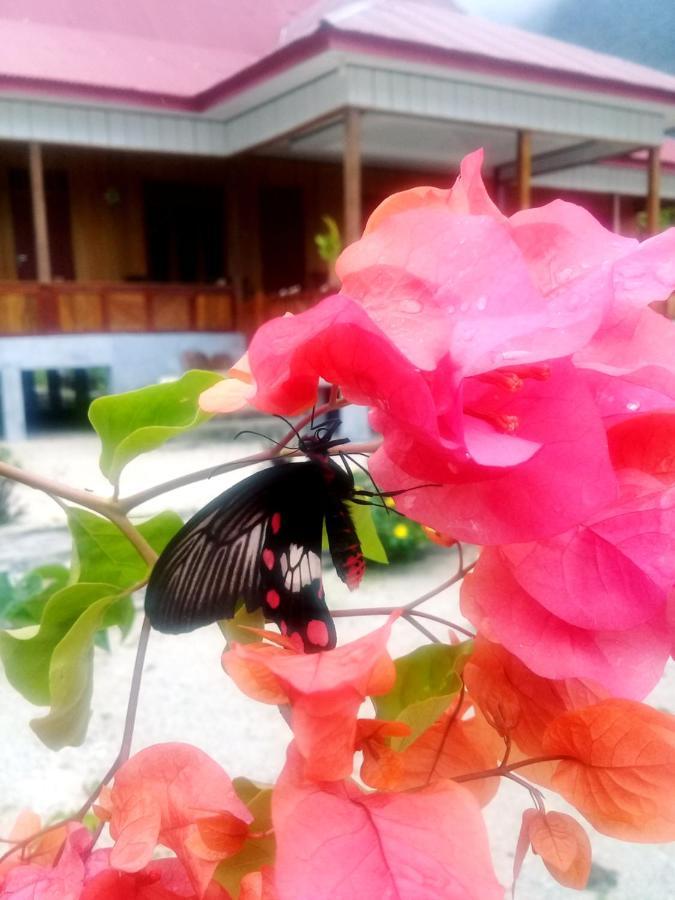 Nusa Nalan Beach Resort Rumah Olat Εξωτερικό φωτογραφία